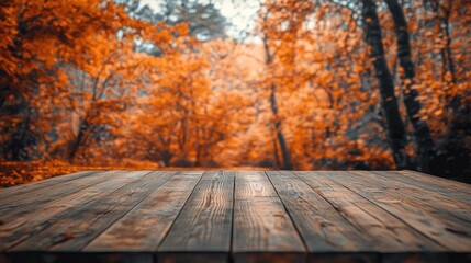 The rustic charm of a wooden table surrounded by orange autumn trees, offering a cozy and peaceful fall vibe perfect for seasonal and nature photography