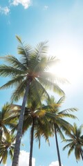 Sun-drenched coconut palms against vibrant blue sky, coconut tree, relaxing