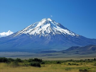 Fototapeta premium snow-covered mountain overlooking a grassy plain