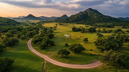 Aerial shot of a sprawling savanna landscape dotted with acacia trees and a winding dirt road under a cloud-streaked sky at sunrise.