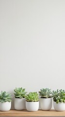 Fototapeta premium Five small succulent plants growing in white ceramic pots are arranged on a light wooden shelf against a clean white wall, creating a calming and minimalist decorative scene