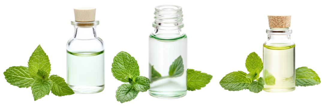 Fresh peppermint oil in glass vials with mint leaves for aromatherapy