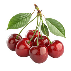 3D Realistic Fresh Cherry Bunch on White Background