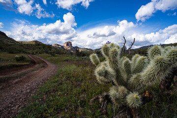 Arizona's Superstition Wilderness, in early-Spring. 