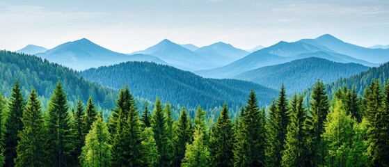 Naklejka premium A serene landscape showcasing lush evergreen forests with majestic mountains in the background under a clear blue sky.