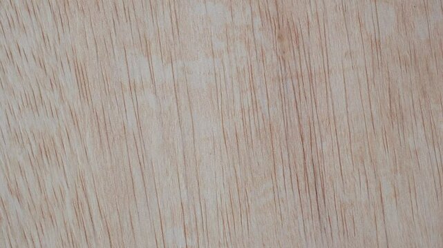 Rotating natural wooden grain texture. Detailed wood surface patterns close up