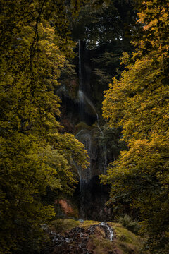 waterfall in the forest