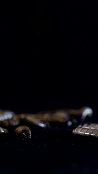 Vertical, Zophobas morio, larvae, caterpillar crawls on the ground at night. Close up. Ugly worms in the dark, maggots