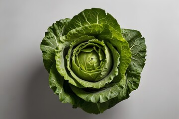 Fototapeta premium Lettuce Isolated on White Background