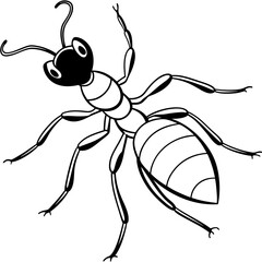 Cute Silhouette of a Ant line art vector cartoon illustration