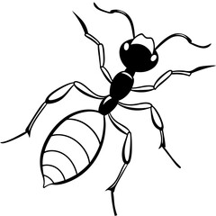 Cute Silhouette of a Ant line art vector cartoon illustration