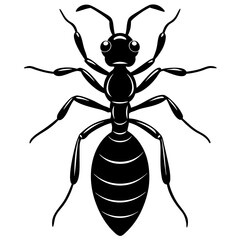 Cute Silhouette of a Ant line art vector cartoon illustration