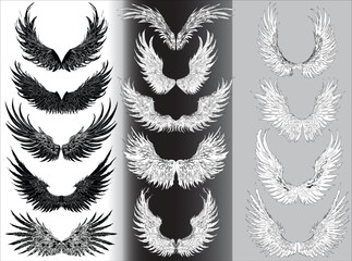 fourteen wings isolated on different backgrounds
