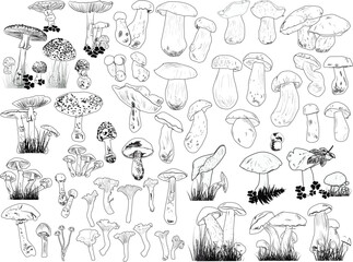 mushrooms in grass outlines large set on white