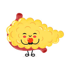 Pancreas holding a heart in hands character. Vector hand drawn cartoon kawaii character illustration icon. Isolated on white background Pancreas in love character concept
