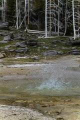 Geysers with hot water spew steam in Yellowstone National Park