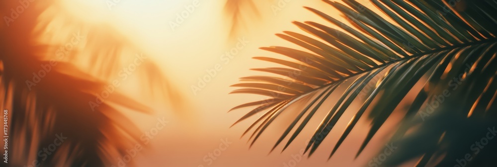 Poster warm sunlight filters through palm leaves, creating a serene and inviting atmosphere, perfect for ca