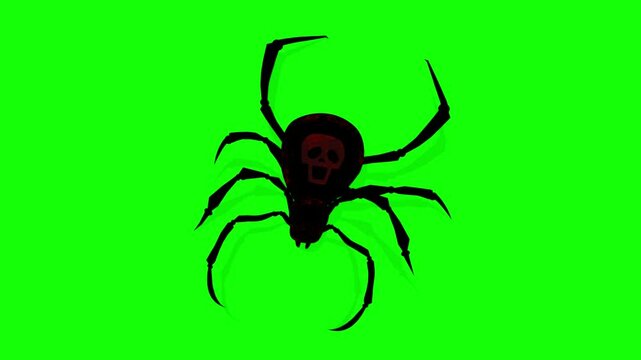 black spider on a green screen