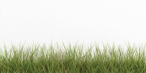 Fototapeta premium Wetlands for flood mitigation, rich earth tones of marsh grasses stand out against a crisp white background, emphasizing natural defenses.