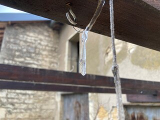 Fleurs et végétations gelé et bloqué
