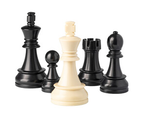 White king chess piece standing out from black chess pieces
