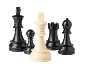 White king chess piece standing out from black chess pieces