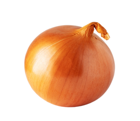 Fresh onion bulb isolated on transparent background