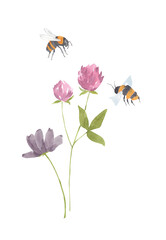 Obraz premium Watercolor illustration of hand drawn wildflowers bouquet of clever with bees on isolated white background. Meadow flowers composition with plants. Perfect for wedding invitations, birthday postcards 