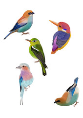 Set of watercolor elements of a colourful bird 