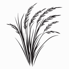 Silhouette Rice Plant image vector and Vector Art  isolated on white background.