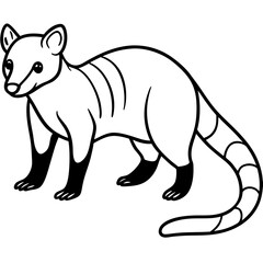 Cute Silhouette of a Coati line art vector cartoon illustration