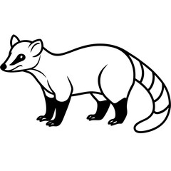 Cute Silhouette of a Coati line art vector cartoon illustration