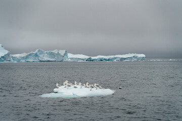Große Eisberge und Gletscher in Grönland bei Ilulissat in der Diskobucht