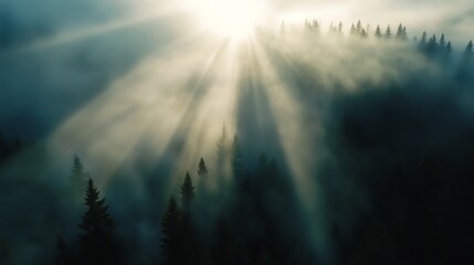 Naklejka premium Aerial view of a foggy forest in the mountains. The sun rays shine through the trees and fog during the sunrise. Wallpaper, natural background, cover.