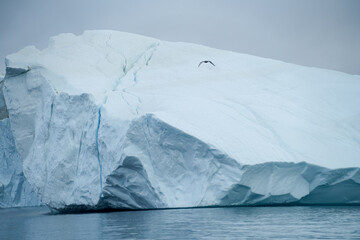Große Eisberge und Gletscher in Grönland bei Ilulissat in der Diskobucht