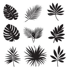 Set of Aesthetic Plant Leaf Components - Vector Illustration