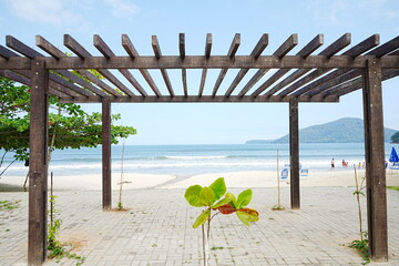 Iperoig Beach in Ubatuba, Sao Paulo, Brazil - ブラジル サンパウロ ウバトゥバ...