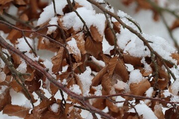 Snow melting 