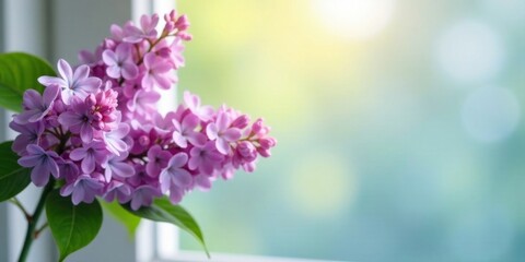 A Delicate Bouquet of Spring Lilacs by a Window Pane