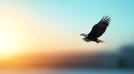 Obraz premium Majestic Bald Eagle Soaring Gracefully Through Expansive Sky with Fluffy Clouds at Golden Hour Overlooking a Breathtaking Canyon Landscape