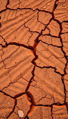 Scorched arid earth texture due to global warming in closeup, with white tones