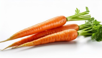 fresh carrots on white background