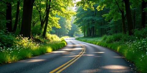 Obraz premium Scenic Winding Road Through Lush Green Forest with Sunlight Dappling the Asphalt