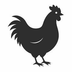 chicken, rooster isolated on white