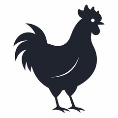 chicken, rooster isolated on white