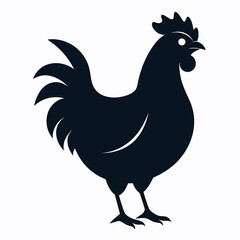 chicken, rooster isolated on white