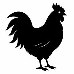 chicken, rooster isolated on white