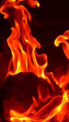 Fototapeta premium burning earth in fire, Colored gel lighting, with white tones