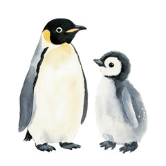 Obraz premium pair of watercolor penguins, one adult and one chick, stand together. adult penguin has distinctive black and yellow head, while chick is fluffy and gray, showcasing heartwarming bond