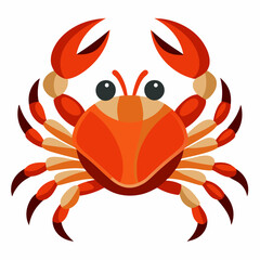 crab isolated on white background